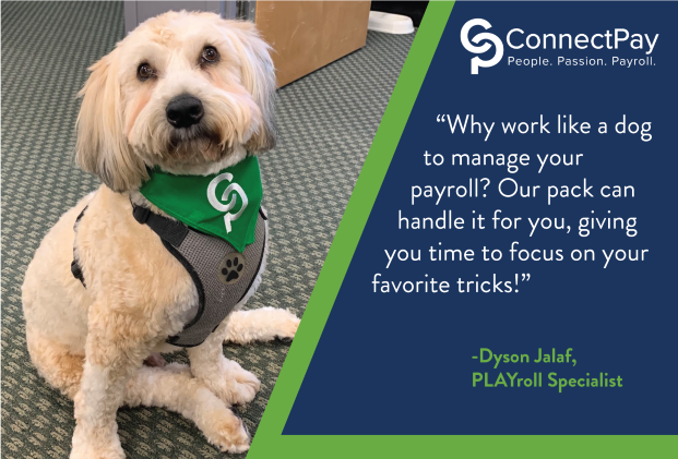 Why work like a dog to manage your payroll