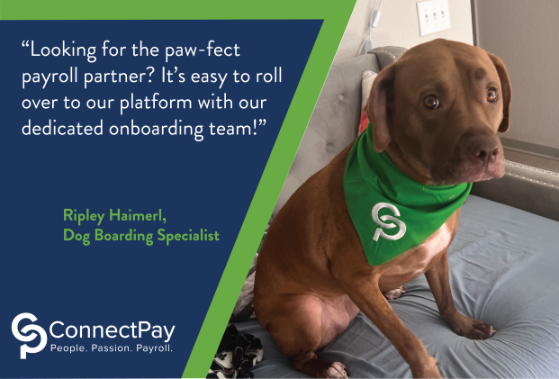 Work with the paw-fect payroll partner!