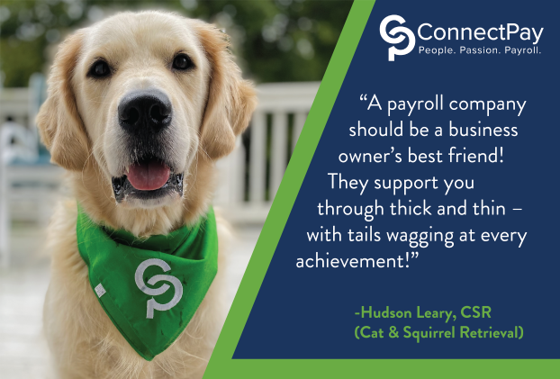 A payroll company is your best friend!