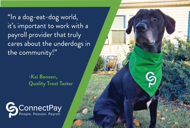 A payroll company should care about the underdogs!