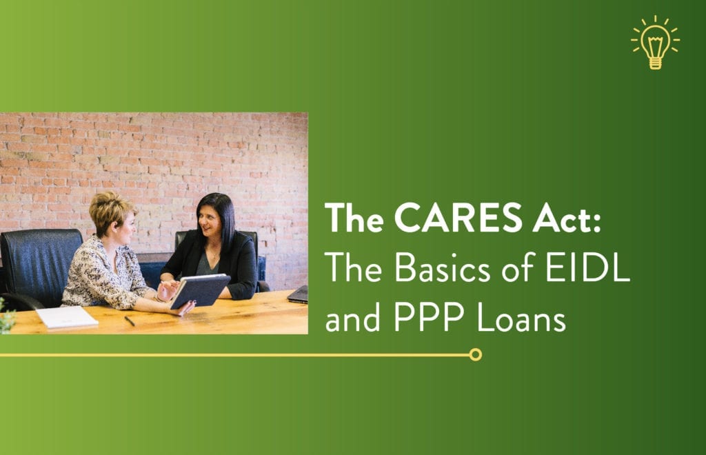 The CARES Act: The Basics of EIDL and PPP Loans | ConnectPay