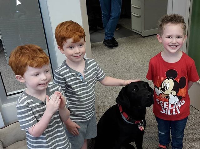 Can you think of a better way to spend a summer lunch break? Service dog Harry and some little admirers joined us in the Foxborough #MA office. It’s important to support our employees at the end of a quarter…and there is no better way to do that than to bring in a furry friend! #connectedpayroll #connectpay #peoplepassionpayroll | ConnectPay