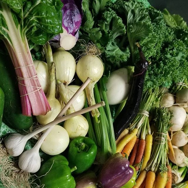 When your CEO shares his CSA – it’s a good day! Thanks Michael!!! #MA #CSA #eatyourveggies #summerbounty #bonus | ConnectPay