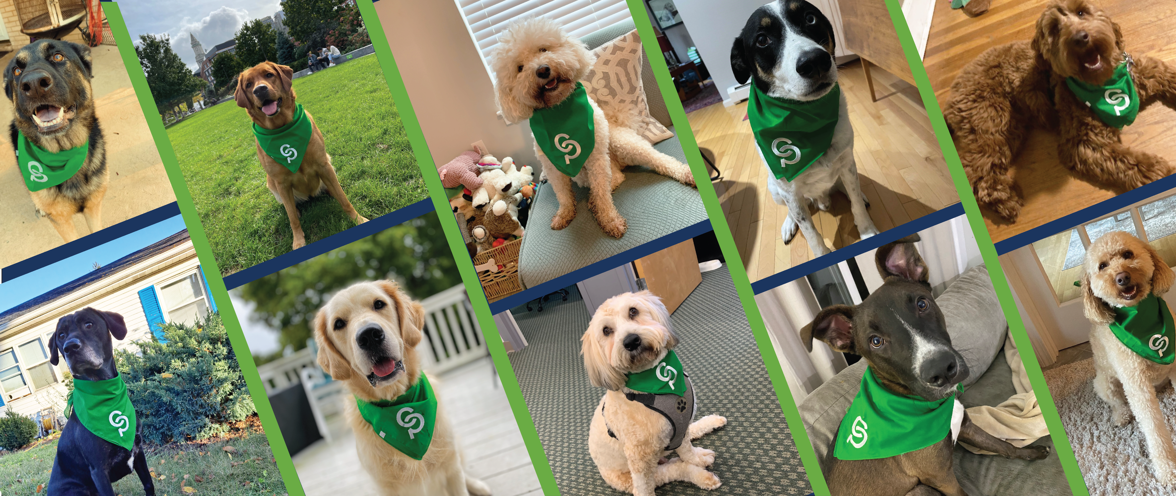 Payroll Tips From The Dogs of ConnectPay!